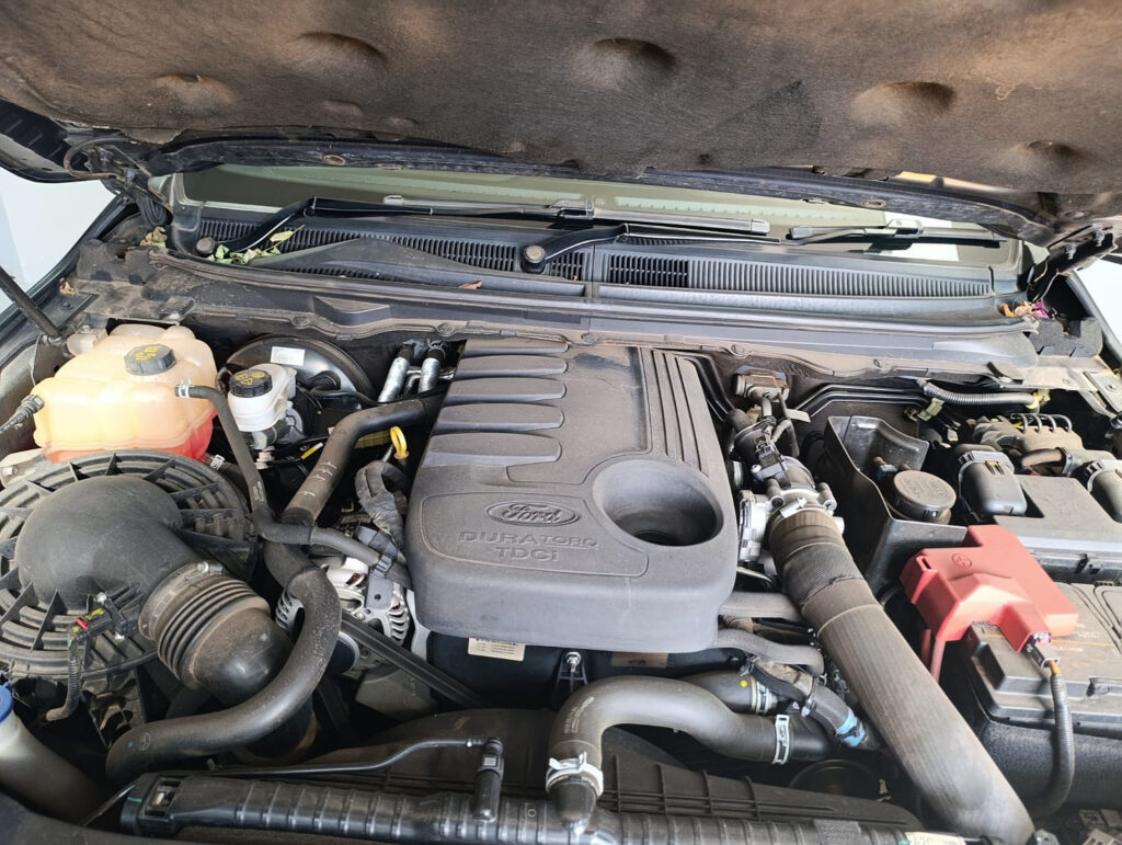 Duty Free 2019 Ford Ranger Wildtrack